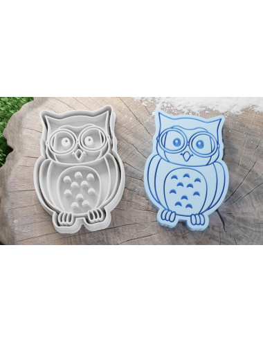 Cute Wise Owl Cookie Cutter...