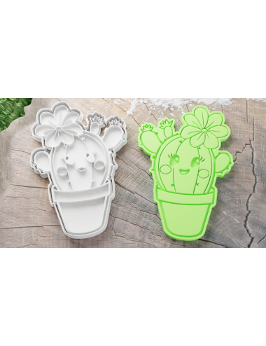 Cute Girl Cactus Cookie...